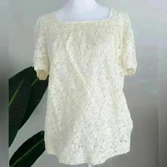 Apt. 9 Vintage Square Neck Short Sleeve Lace Blouse in Ivory Medium Cotton Blend - Picture 1 of 5